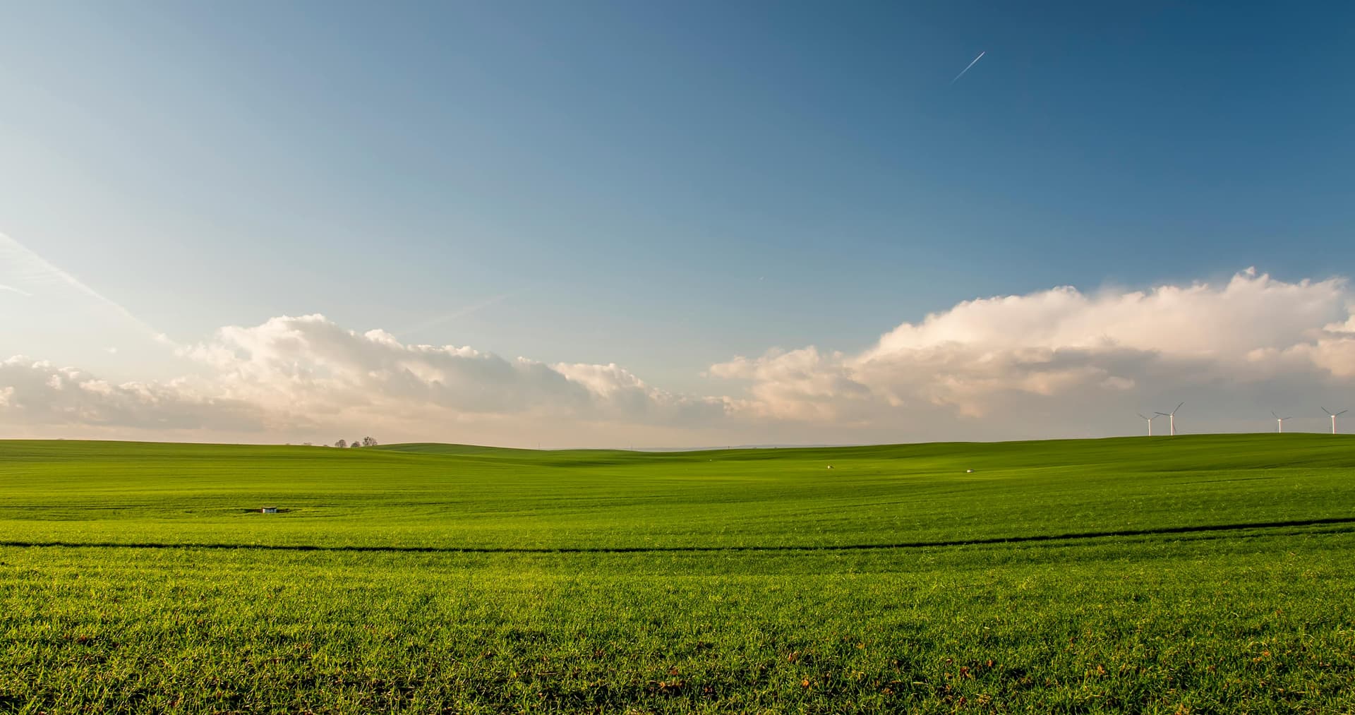 Organic farmland