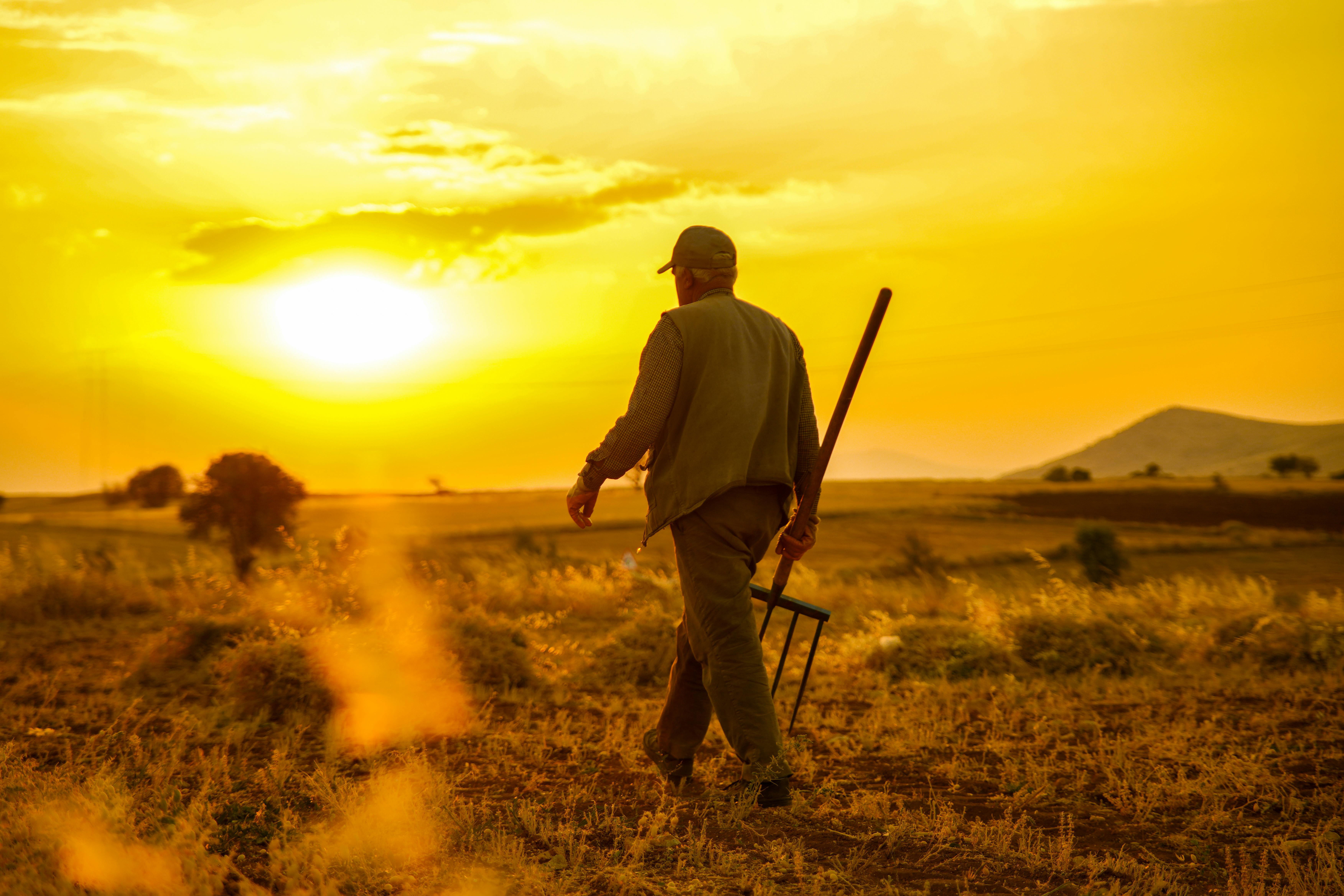 Farmer reading news